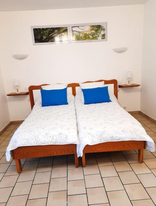 Appartamento Les Albizias 5 Eugenie-les-Bains Esterno foto